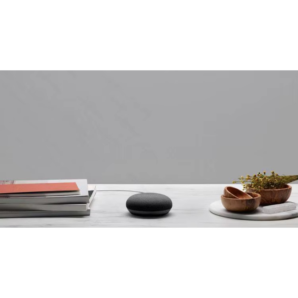 Ersatzteil für Google Nest Hub – Google Speaker Nest Hub Bewertung und Preis